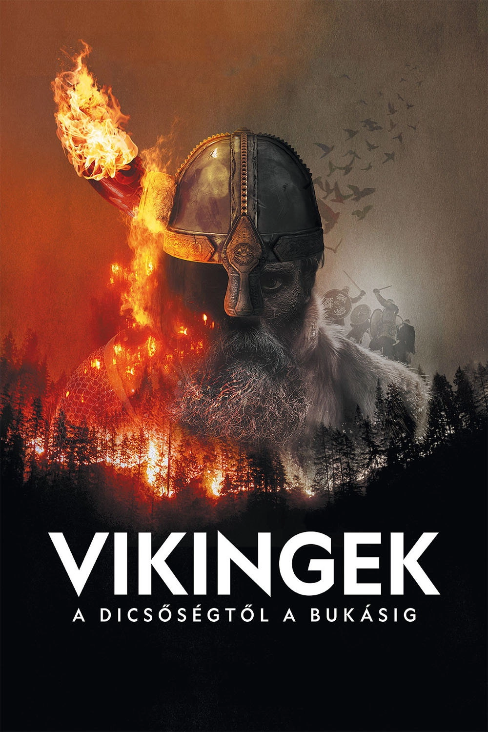 Vikings: The Rise & Fall