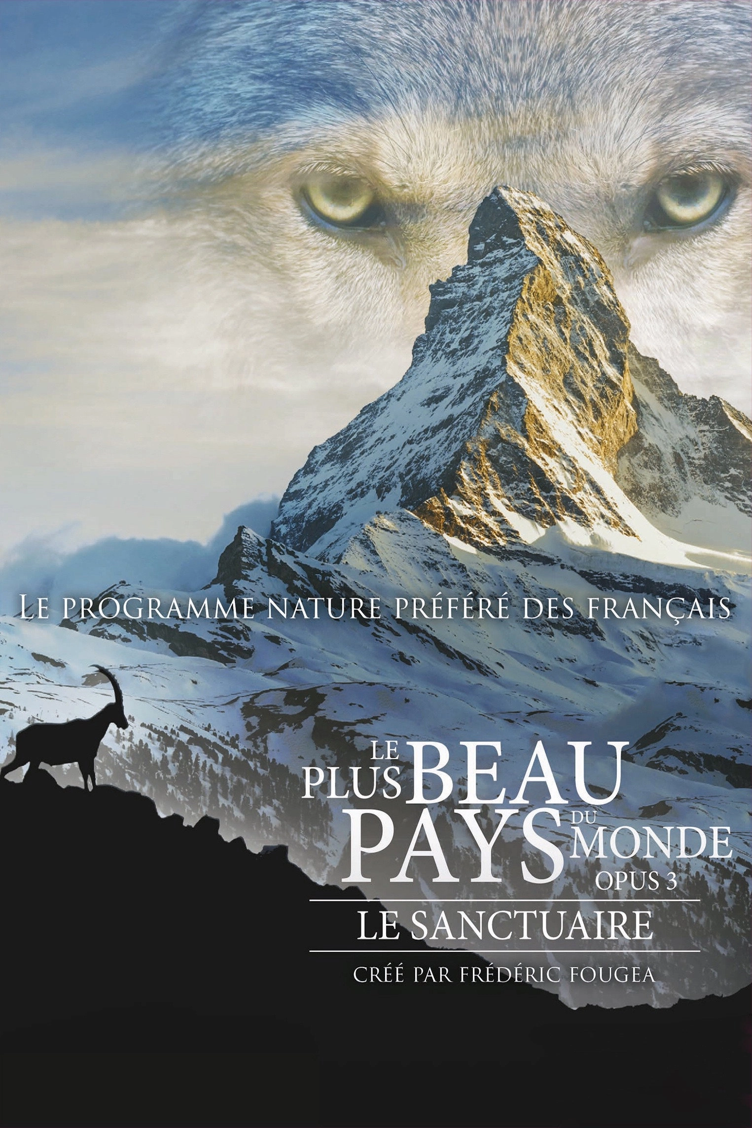 The Sanctuary: Survival Stories of the Alps