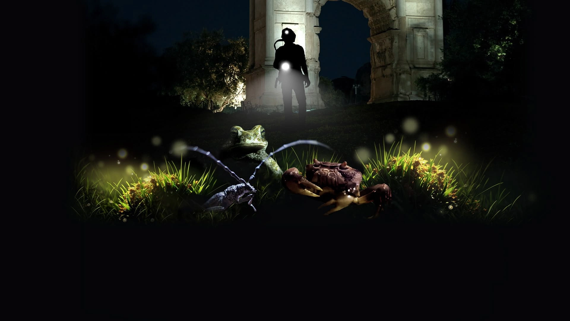 L'impero della natura. Una notte al Parco del Colosseo