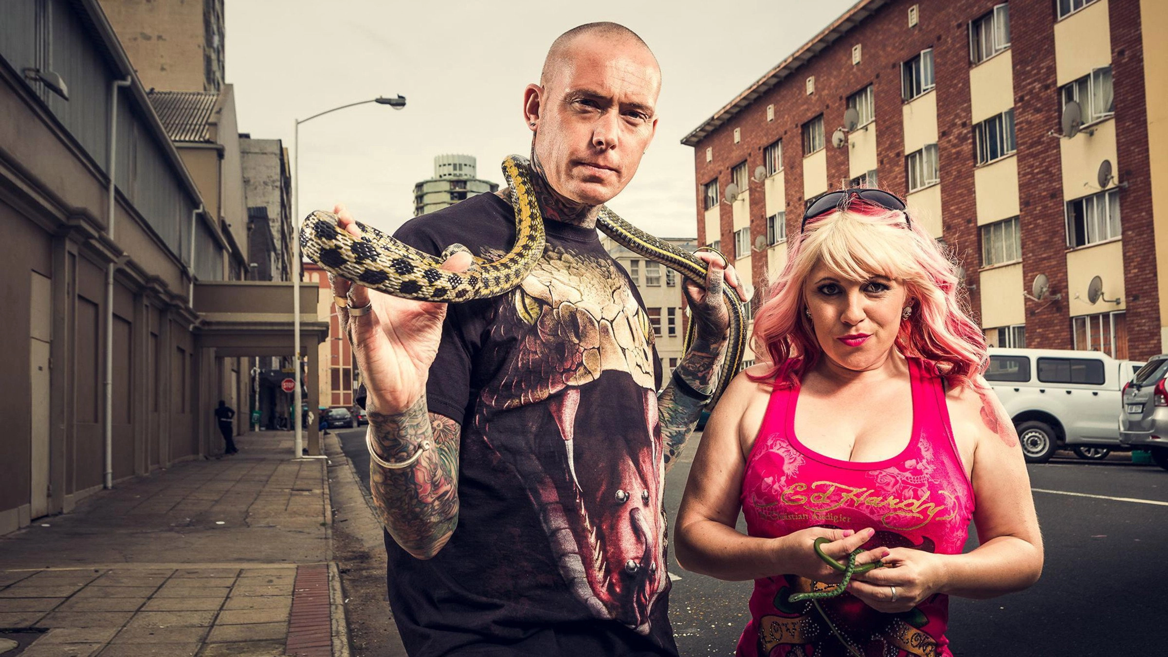 Snake City
