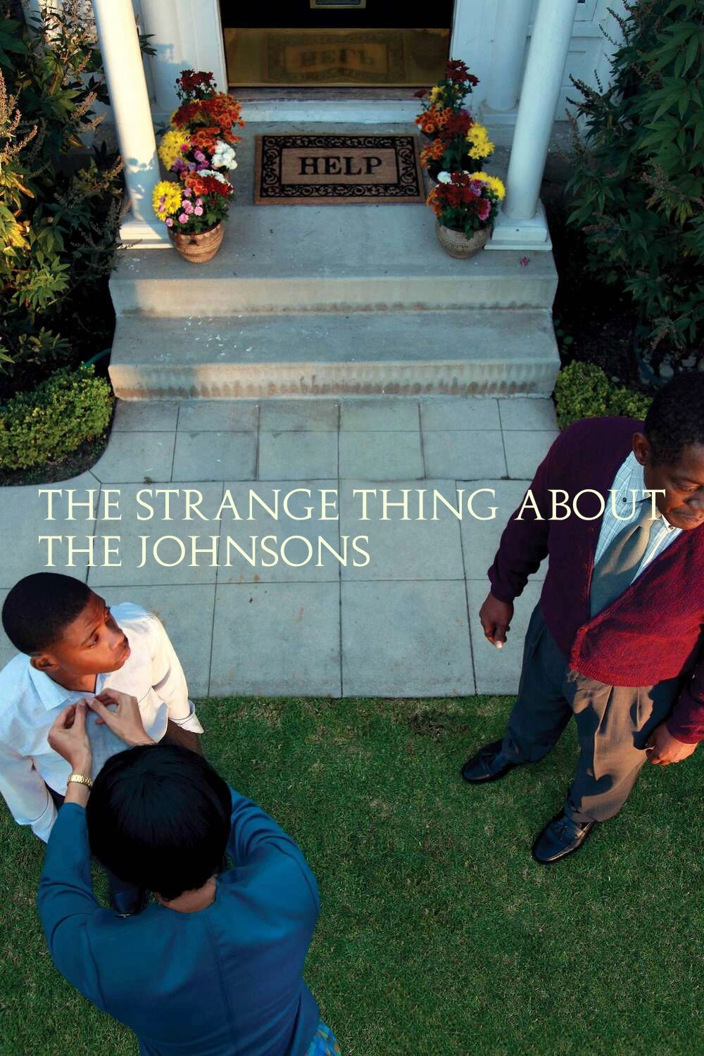 The Strange Thing About the Johnsons