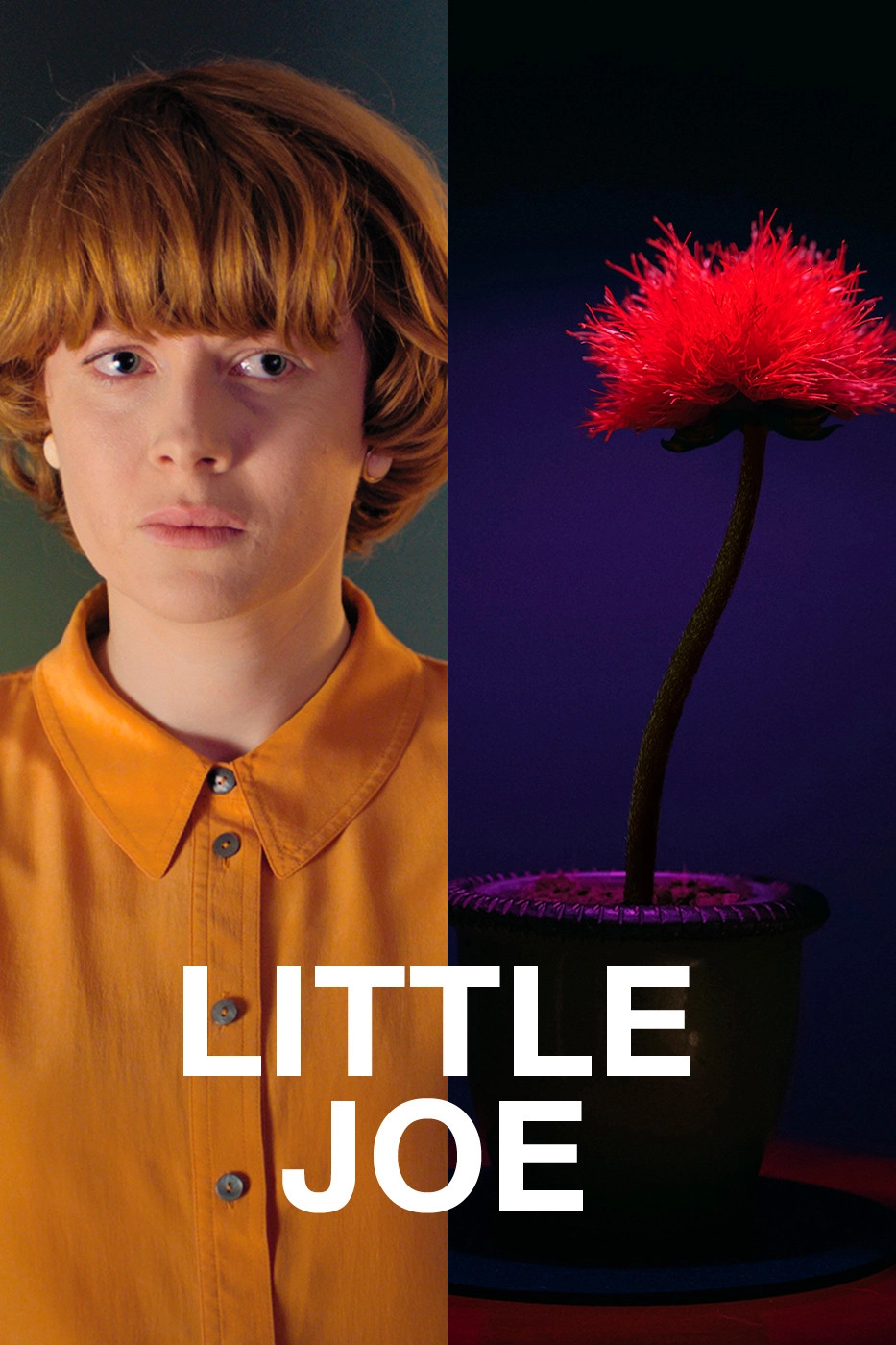 Little Joe