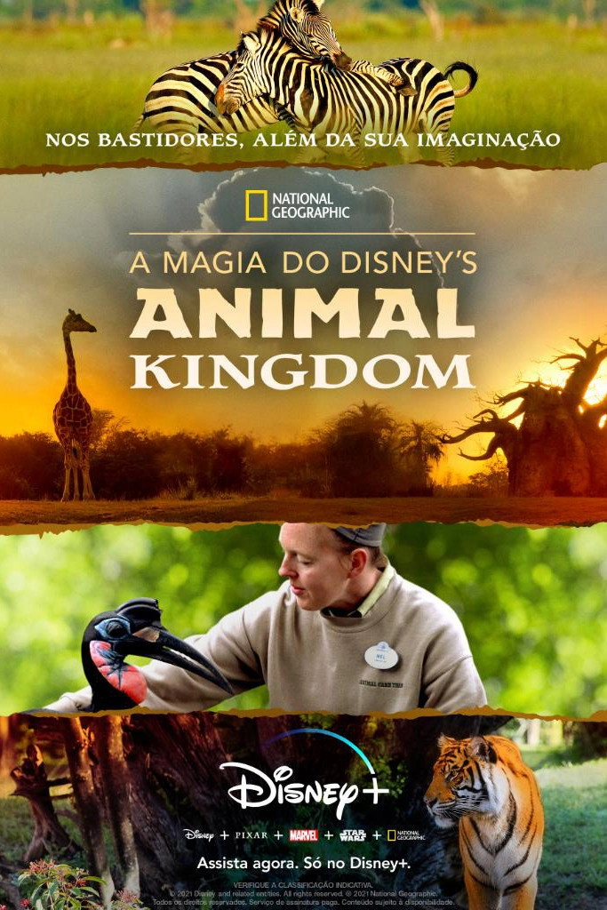 Magic of Disney's Animal Kingdom