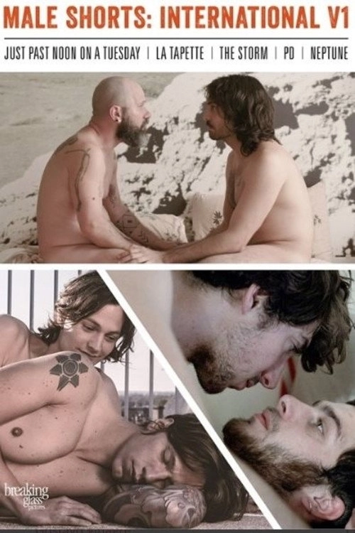 Male Shorts: International V1