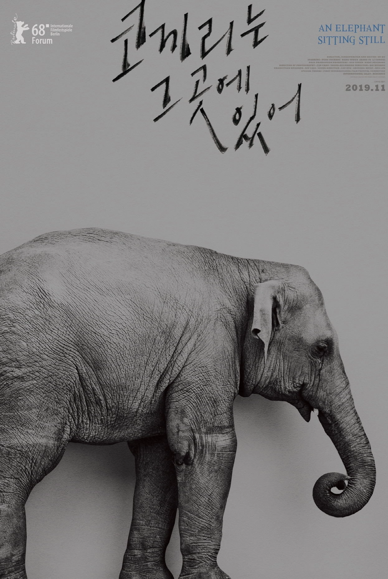 An Elephant Sitting Still