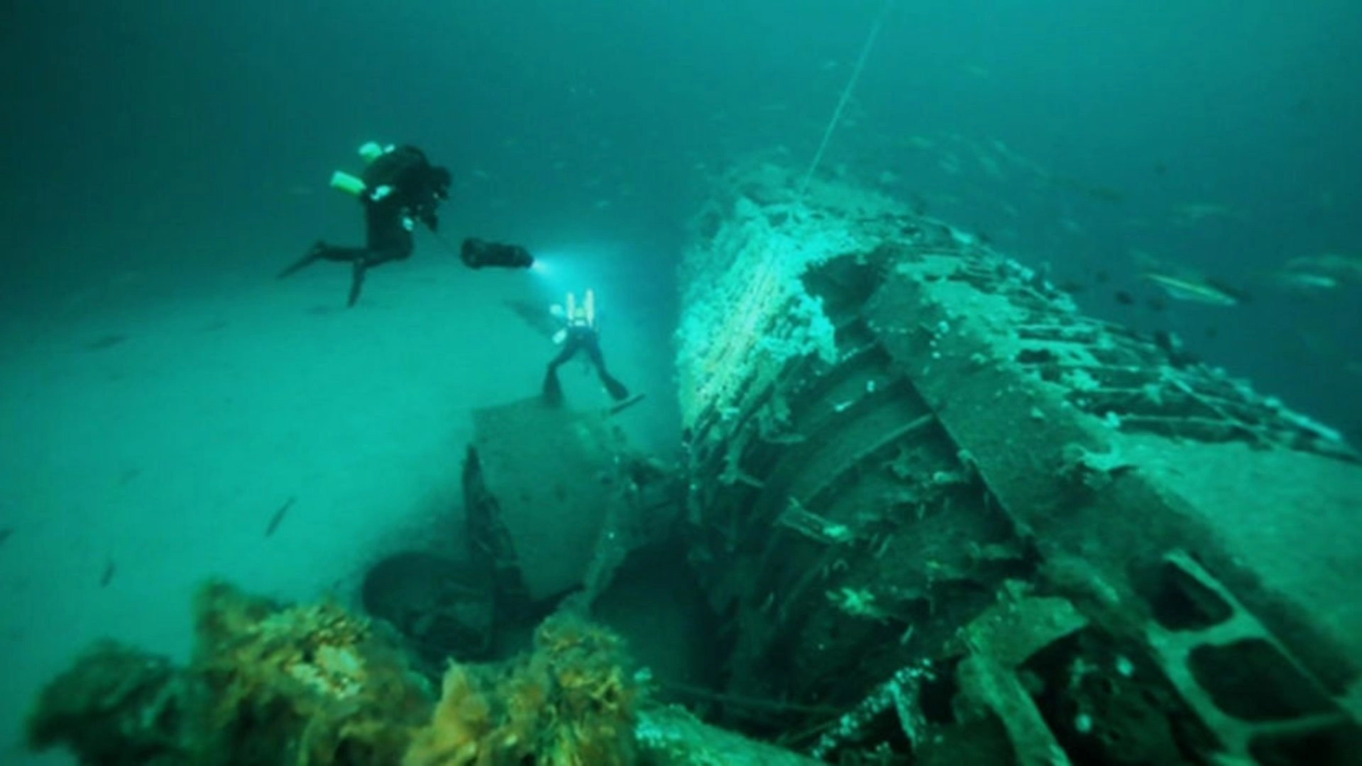 Dig WW2 with Dan Snow