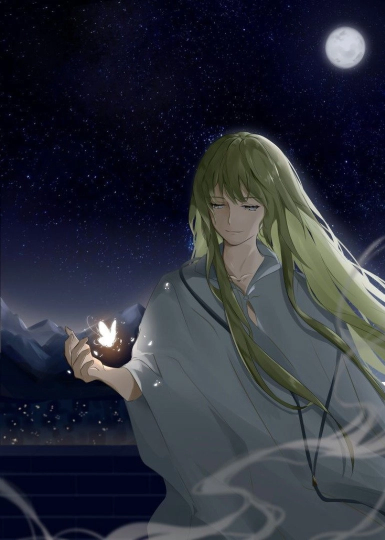 Fate/strange Fake