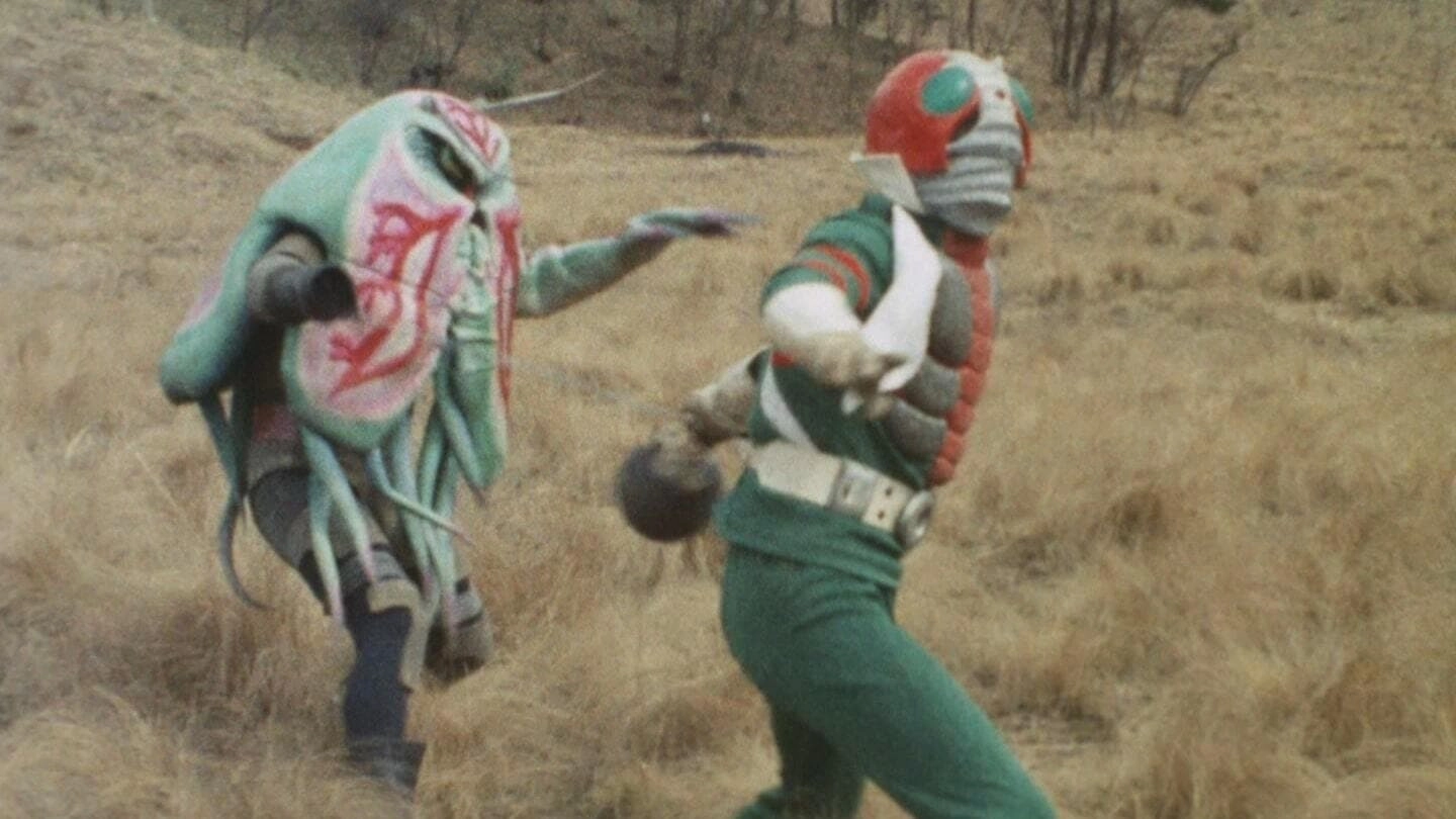 Kamen Rider V3