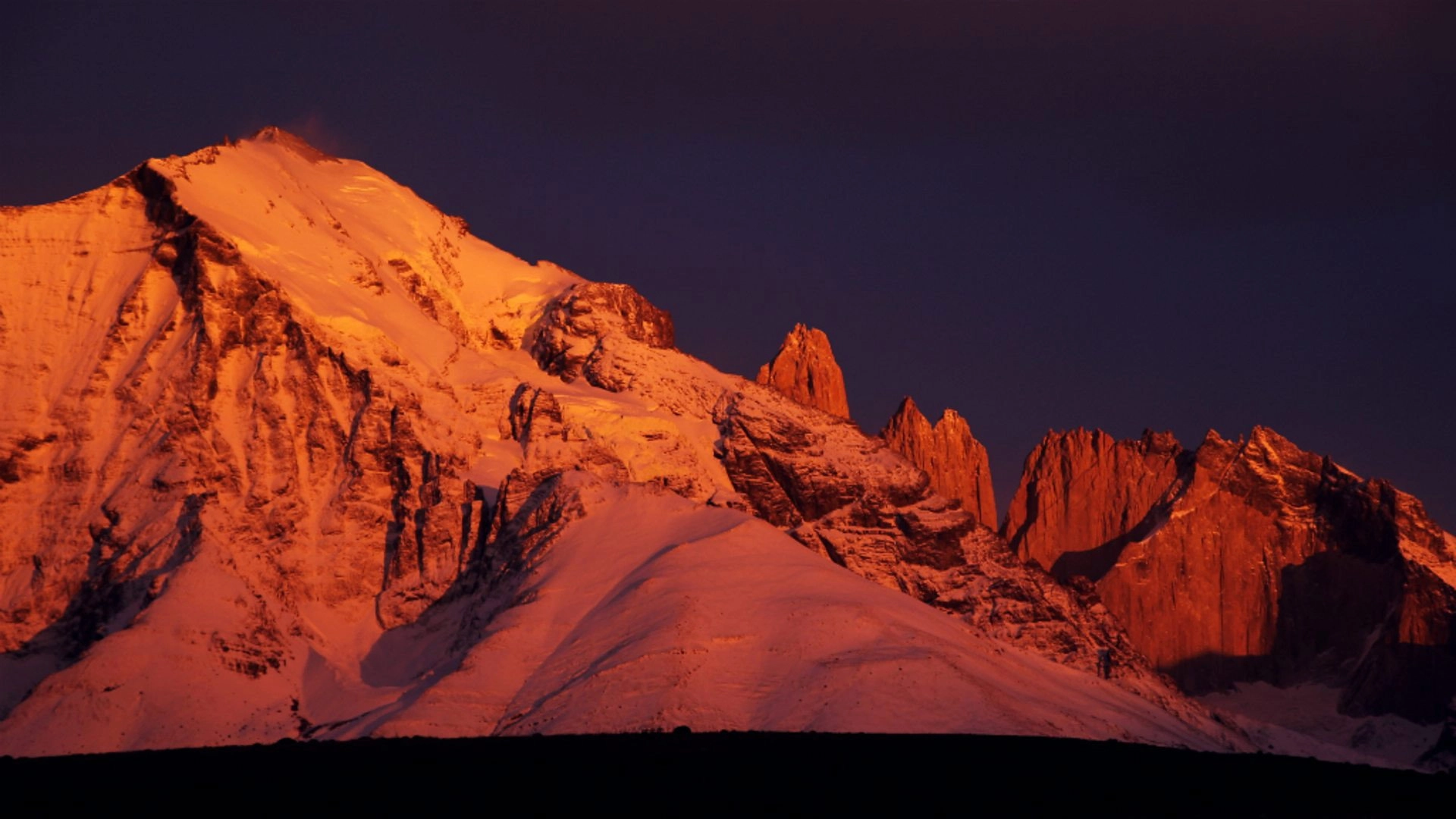 The Dark: Nature's Nighttime World