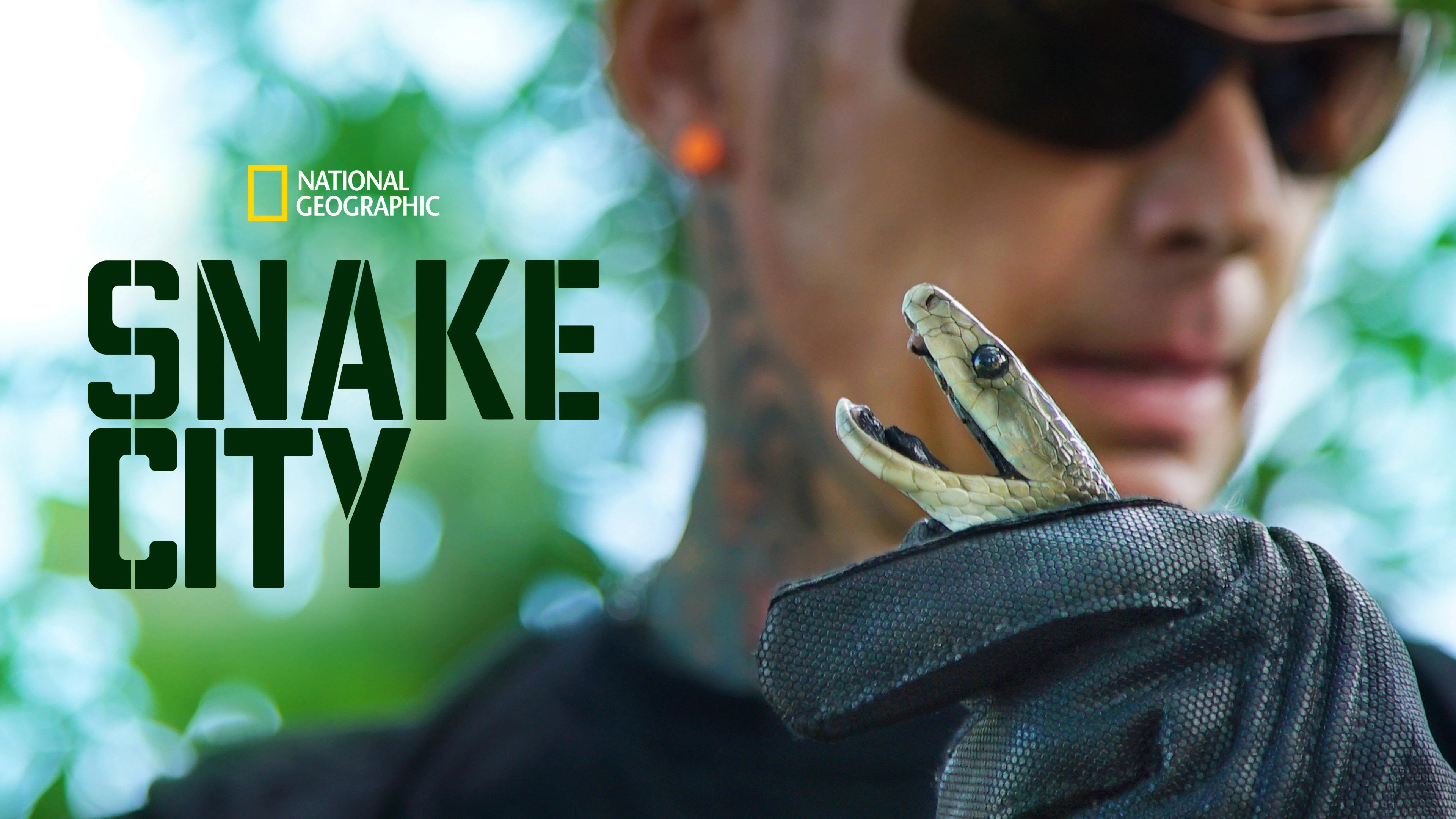 Snake City