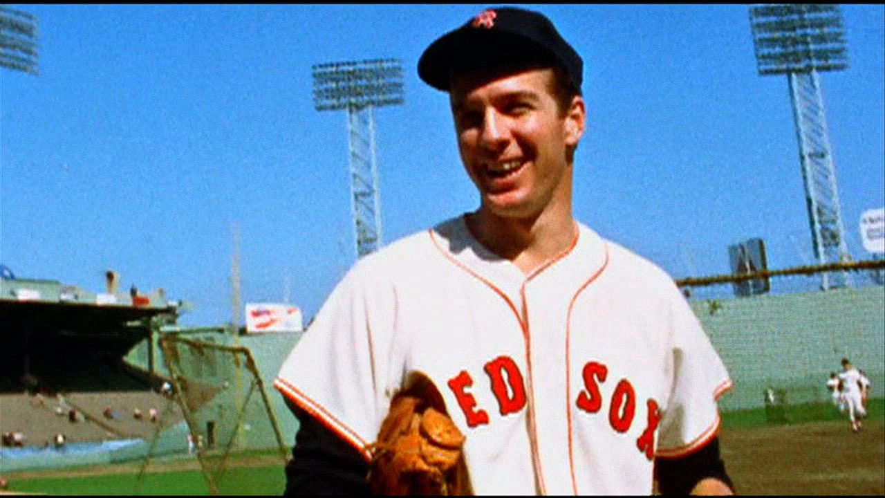 MLB: Baseball's Seasons