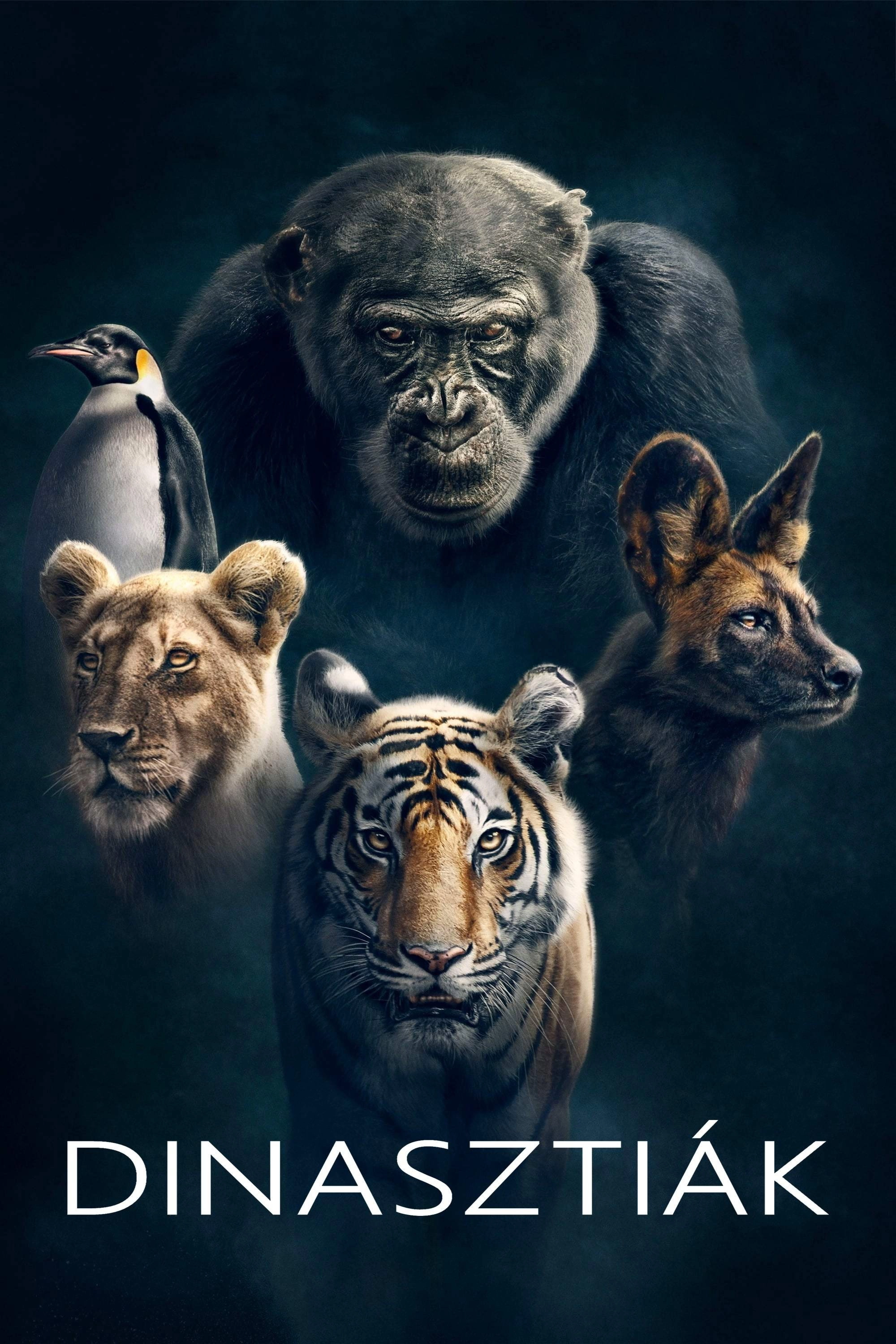 Dynasties