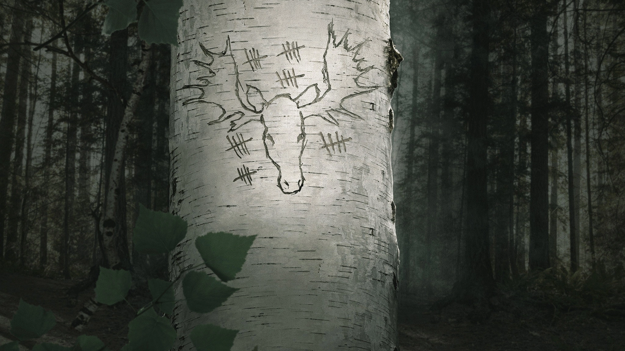 A New Life