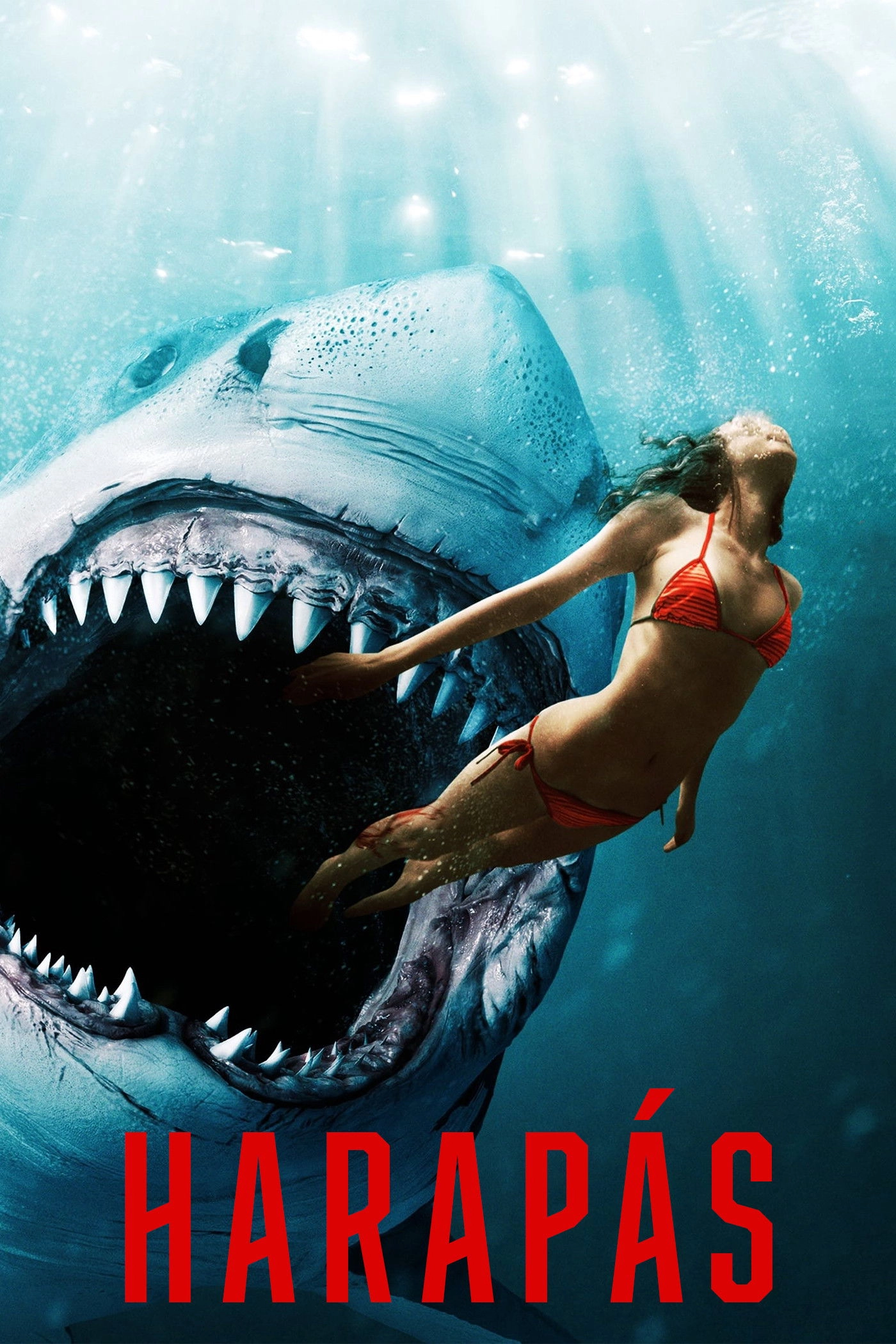 Shark Bait