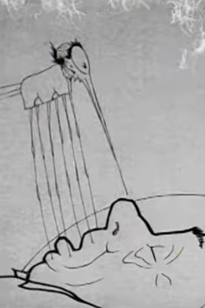 How a Mosquito Operates