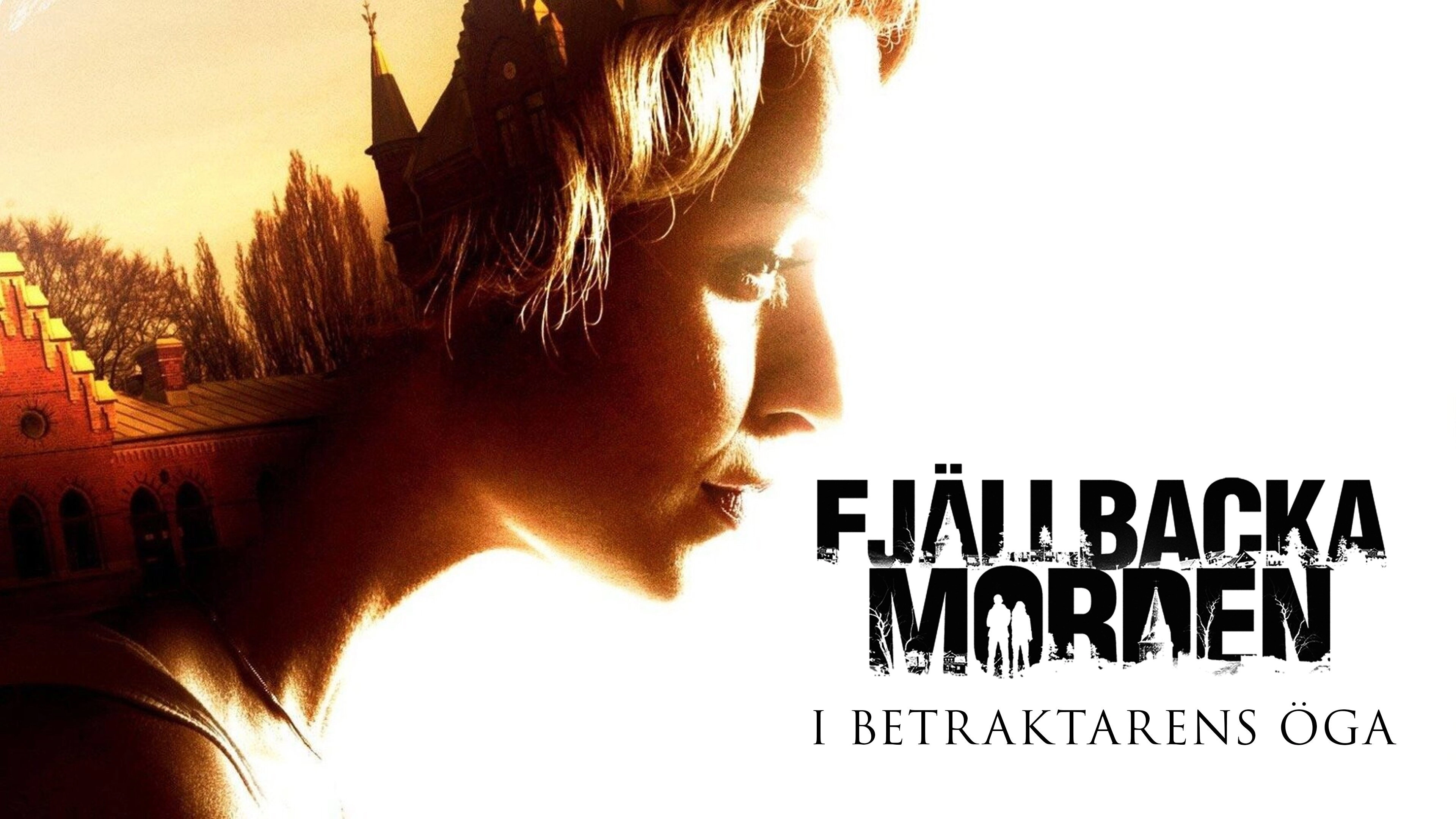 The Fjällbacka Murders: In the Eye of the Beholder