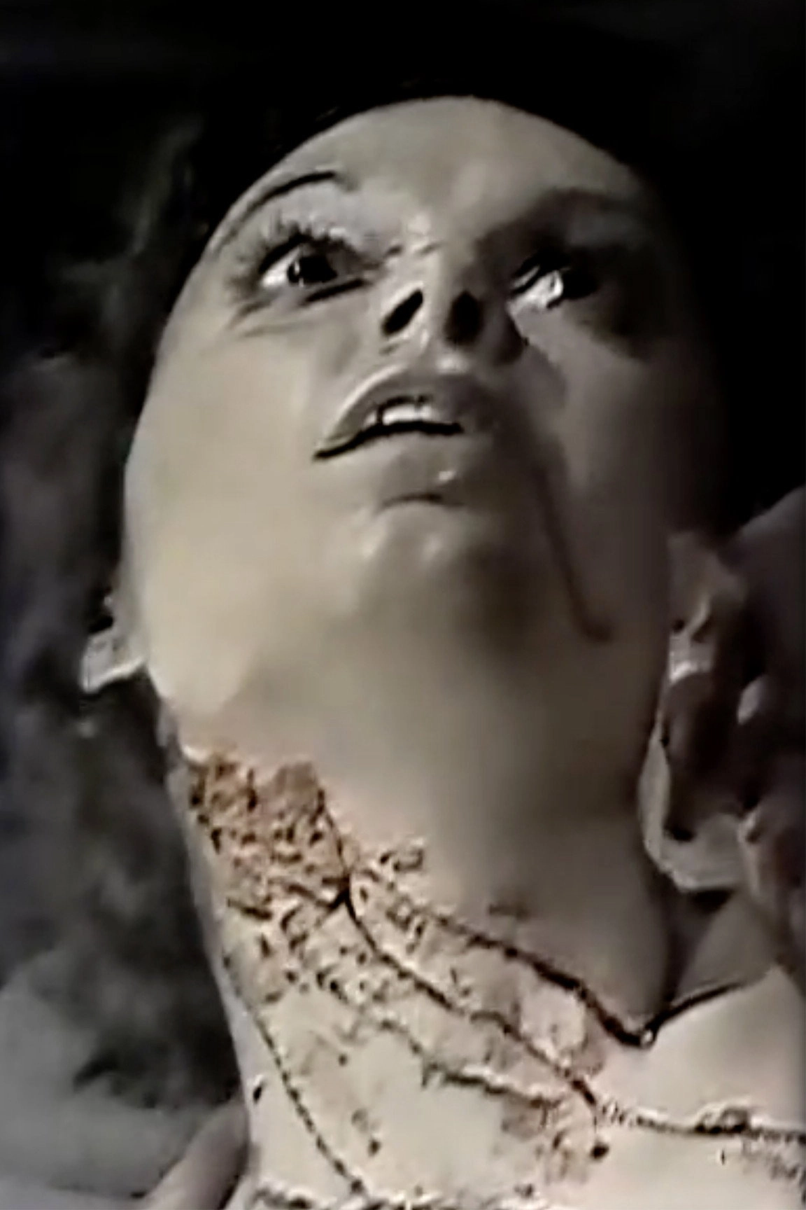 The Passion of Dracula
