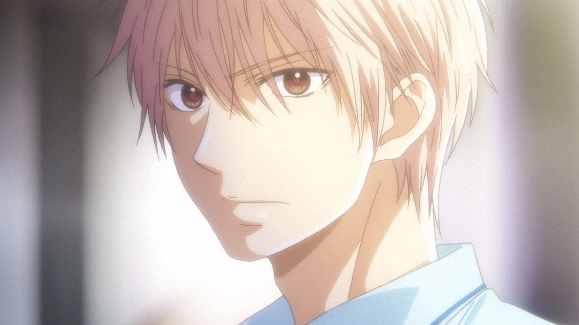 Kono Oto Tomare!: Sounds of Life