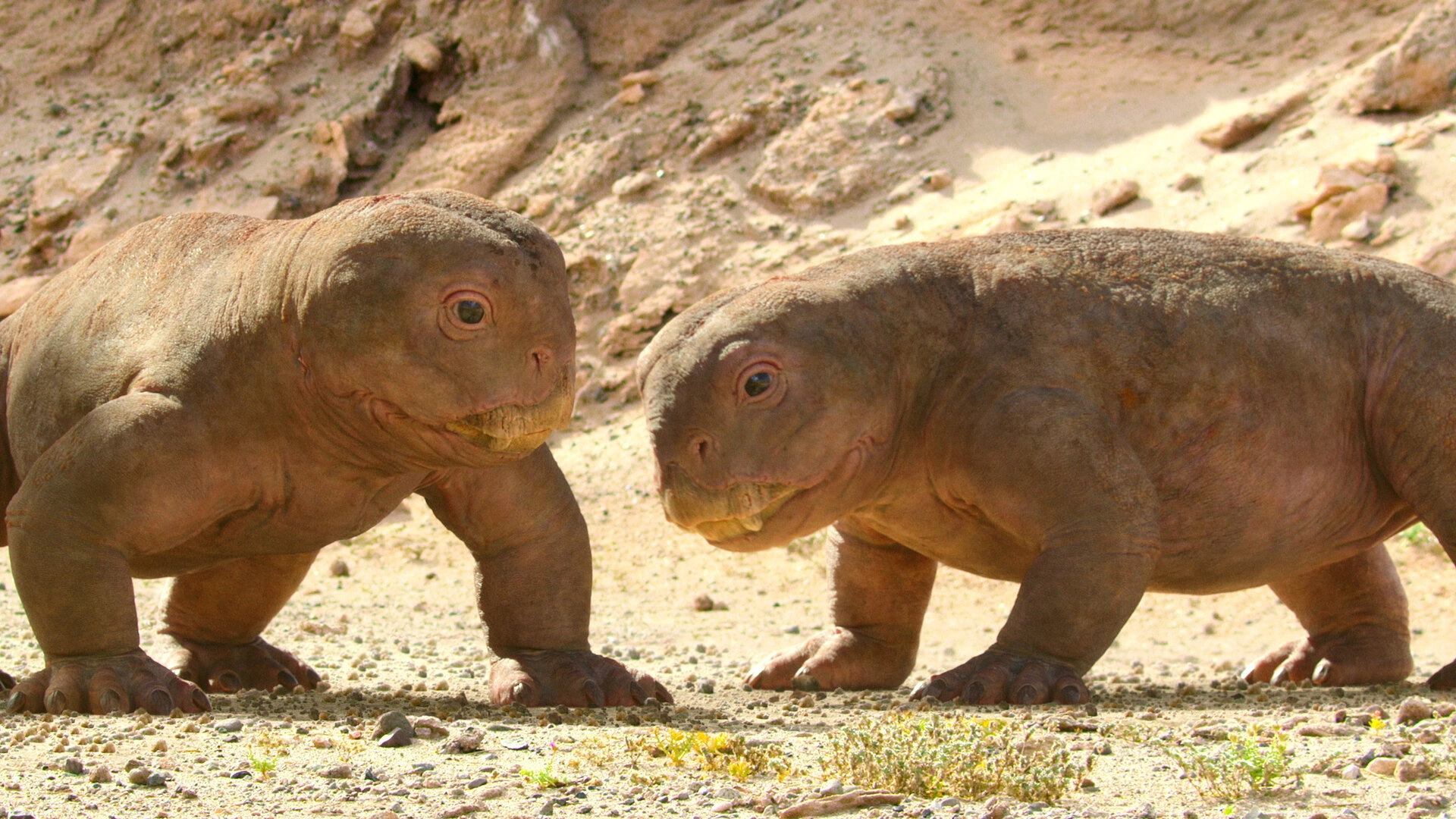 Life on Our Planet