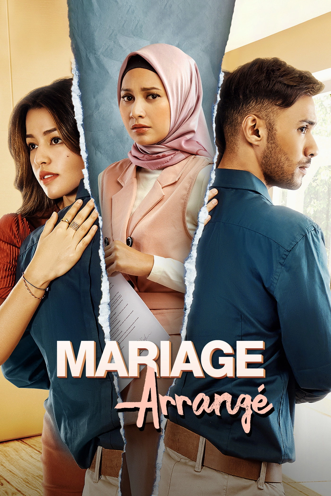 Wedding Agreement: The Series