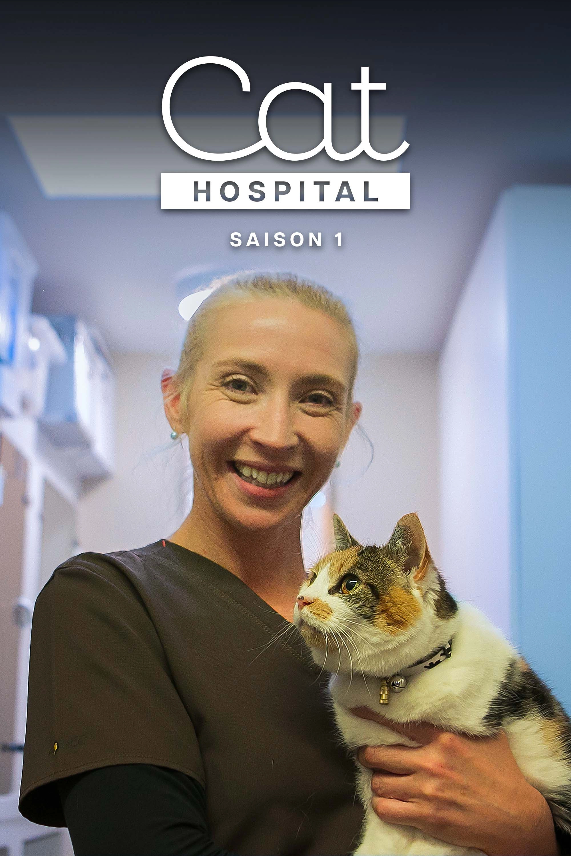 Cat Hospital