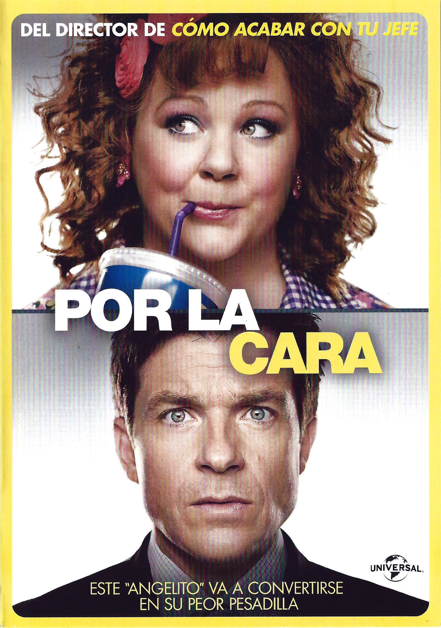 Identity Thief