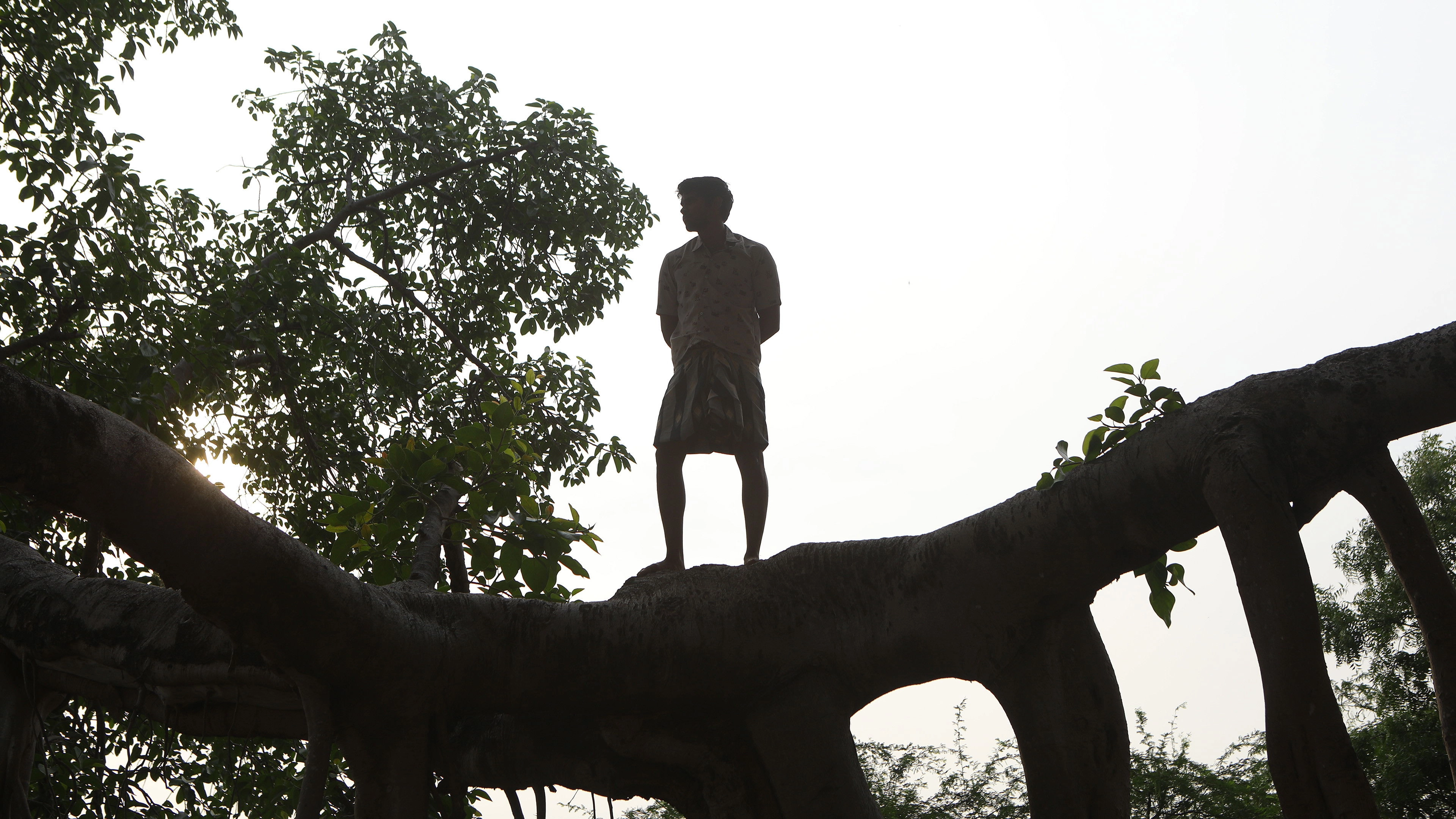 Bison Kaalamaadan