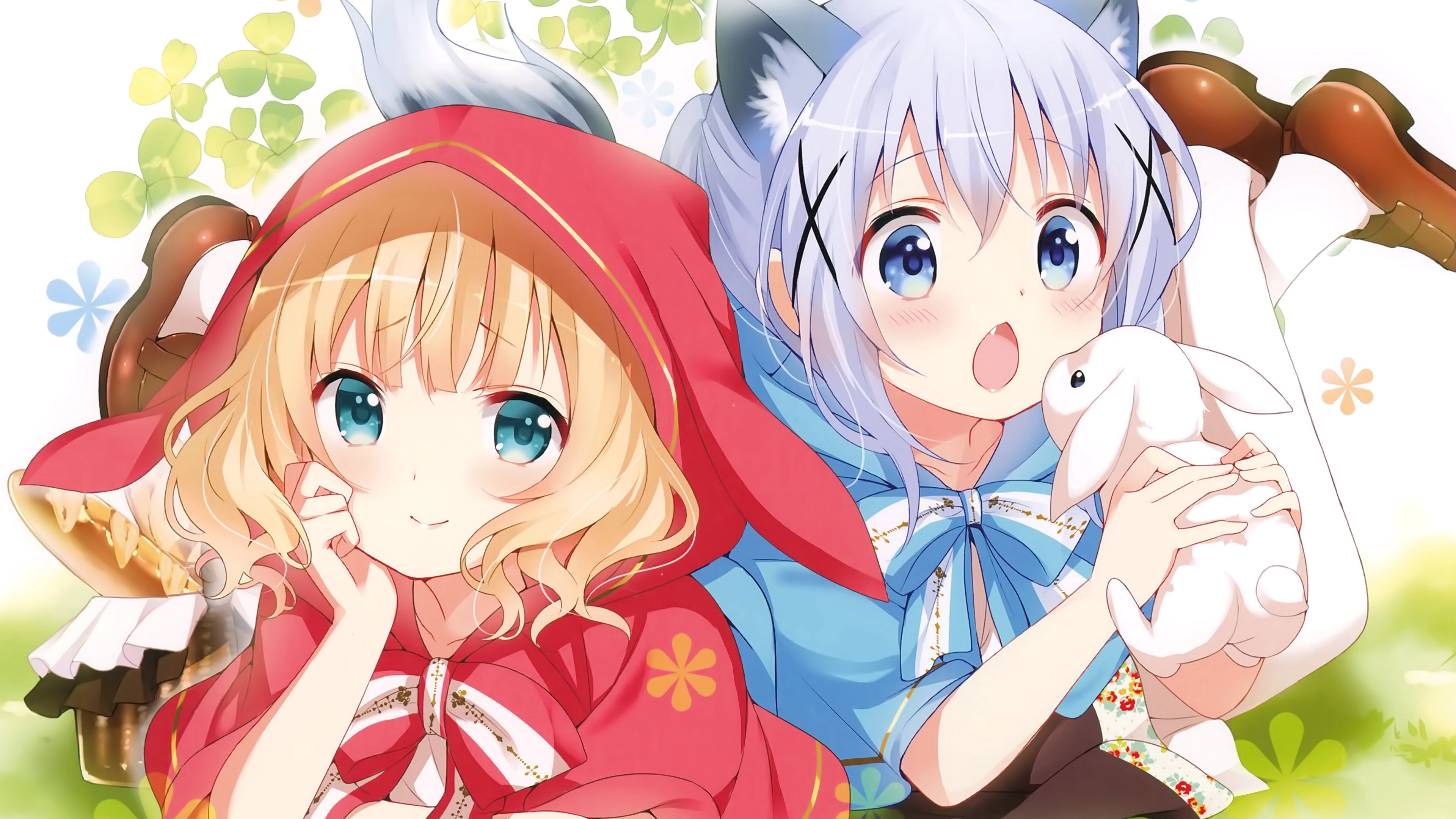 Is the Order a Rabbit?