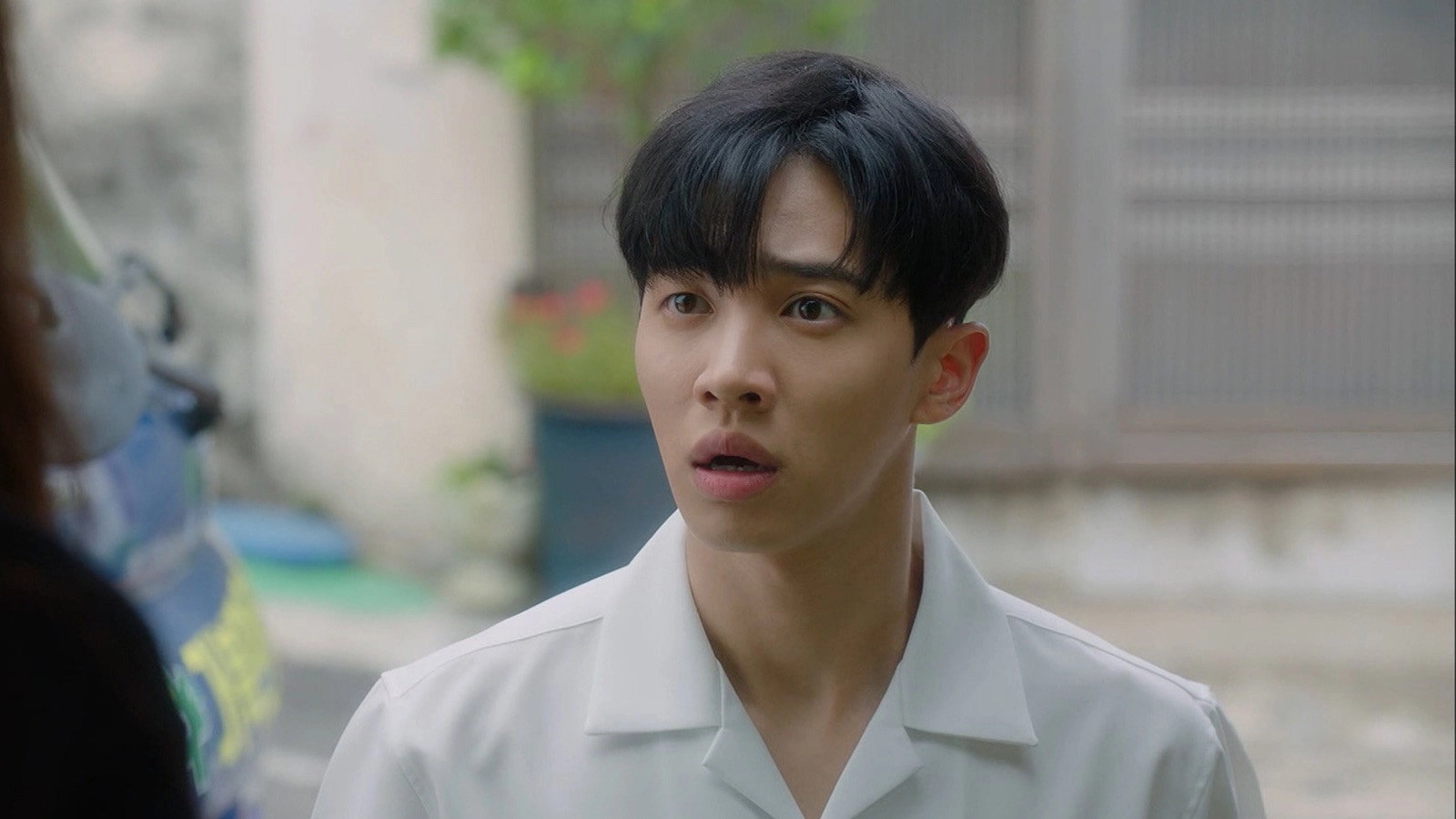 Lovely Horribly