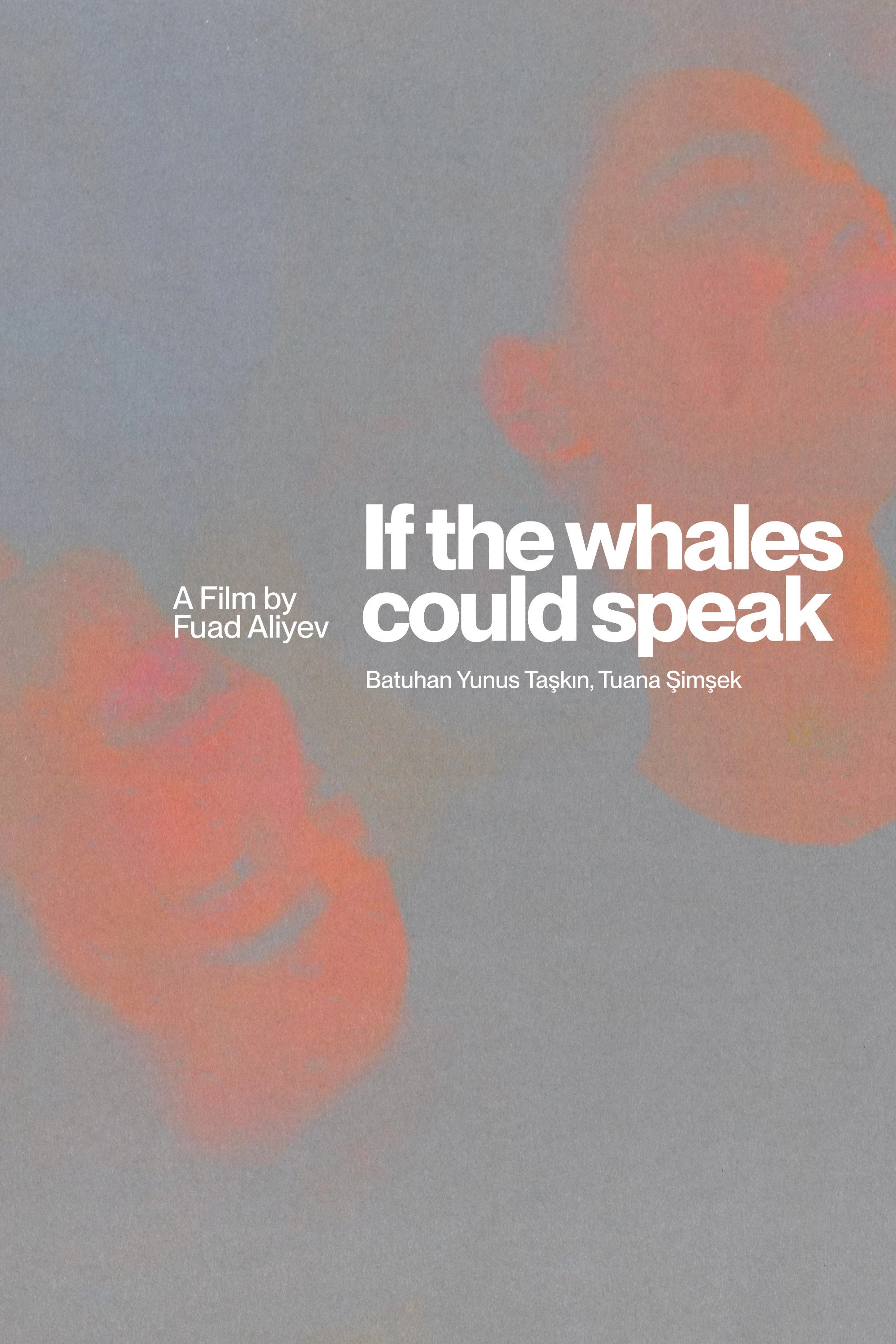 If The Whales Could Speak