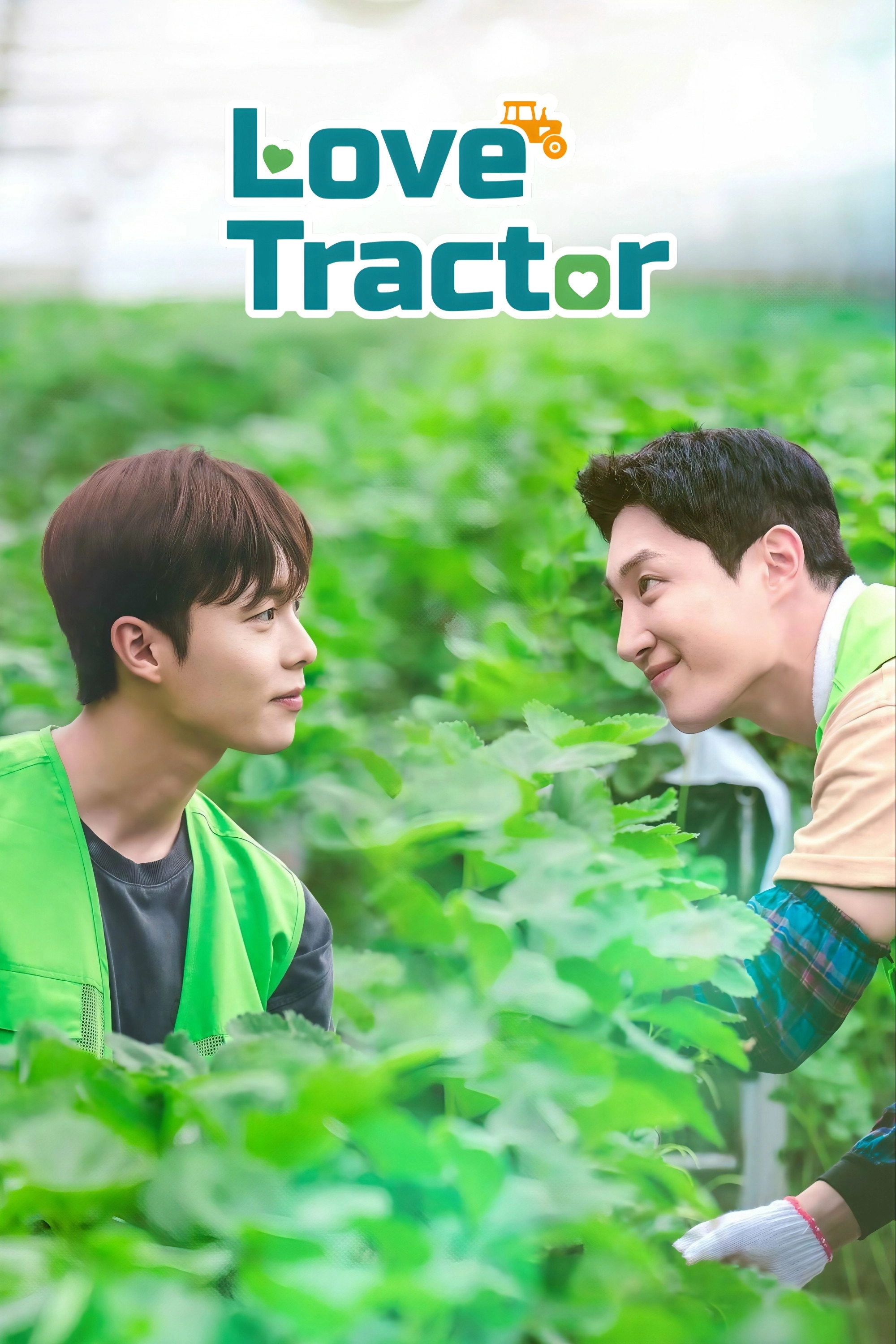 Love Tractor