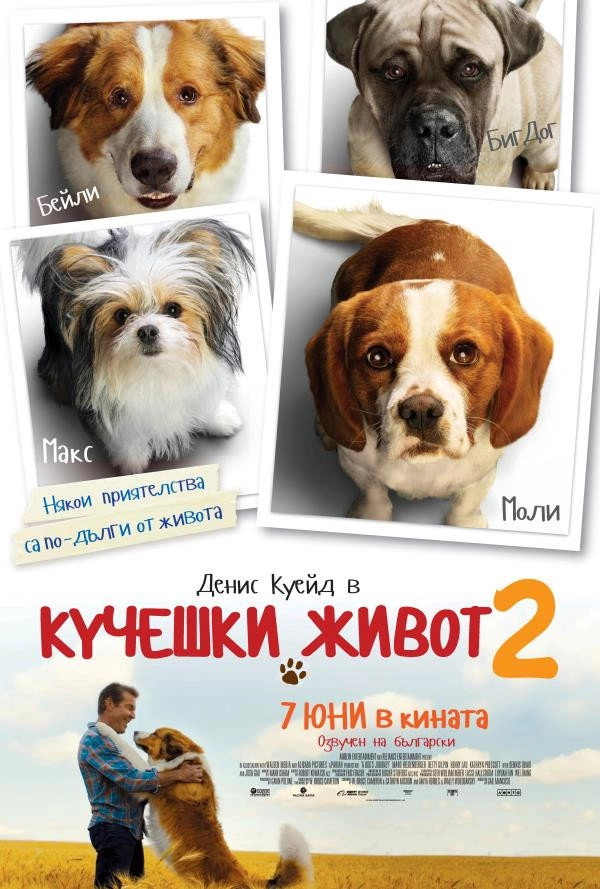 A Dog's Journey