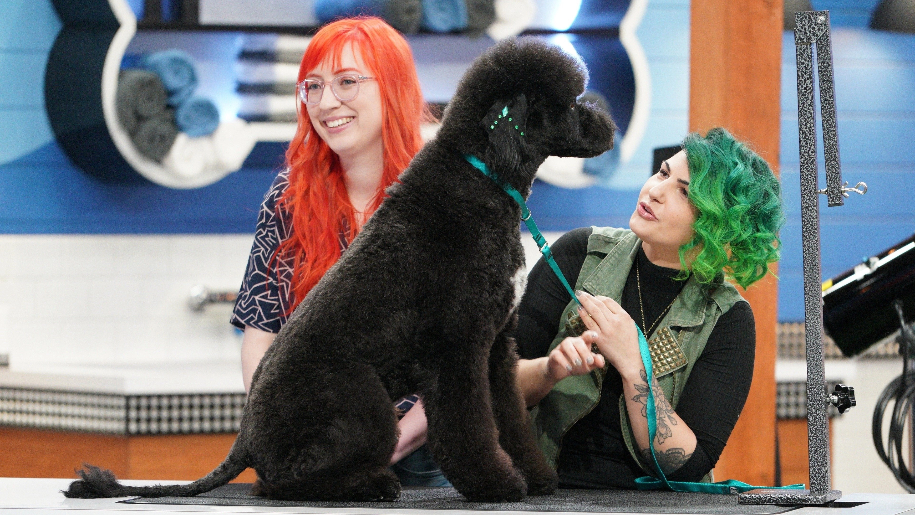 Pooch Perfect