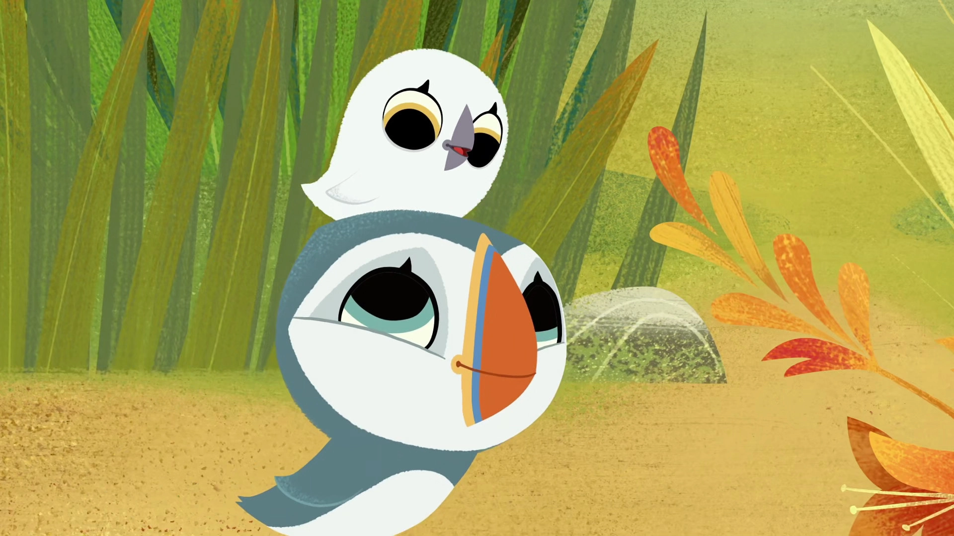 Puffin Rock