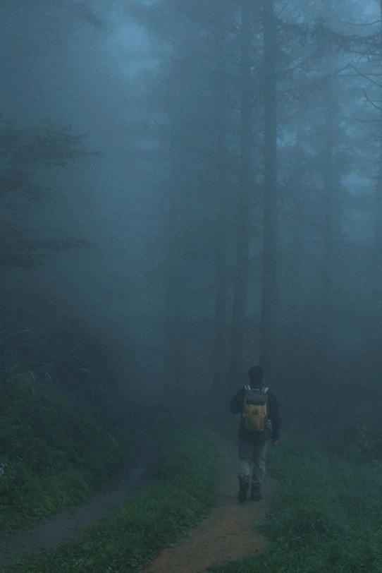 Men Wandering in the Mountain