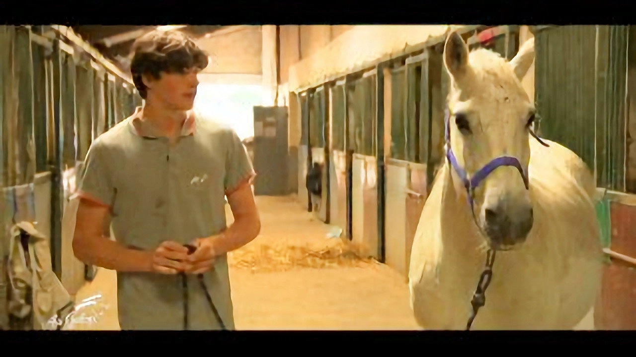 Au galop ! une saison à cheval