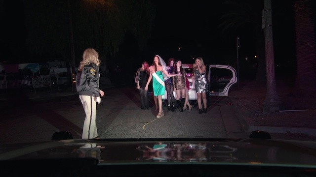 Reno 911!