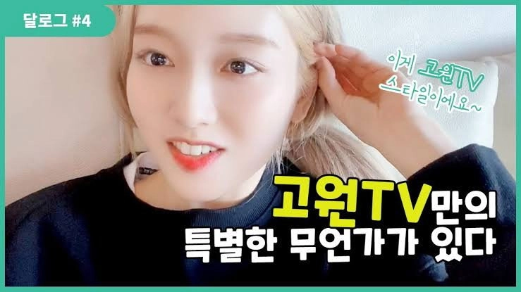 LOONA Log
