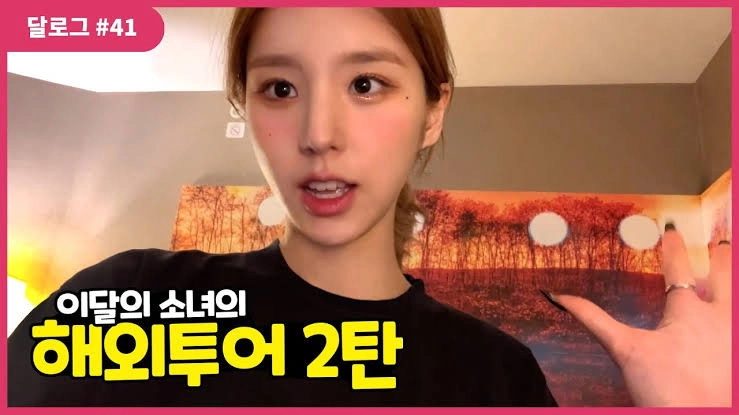 LOONA Log