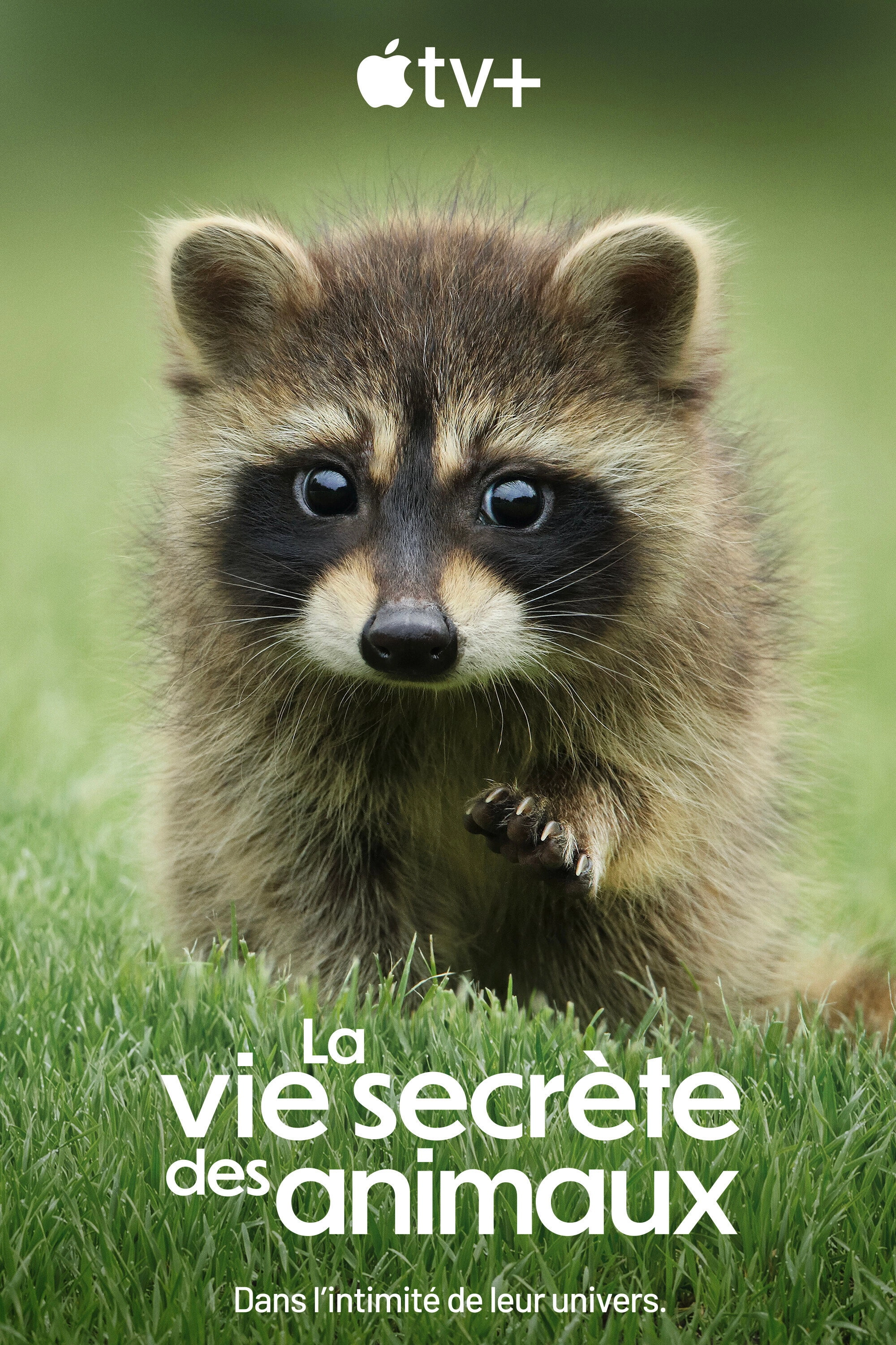 The Secret Lives of Animals