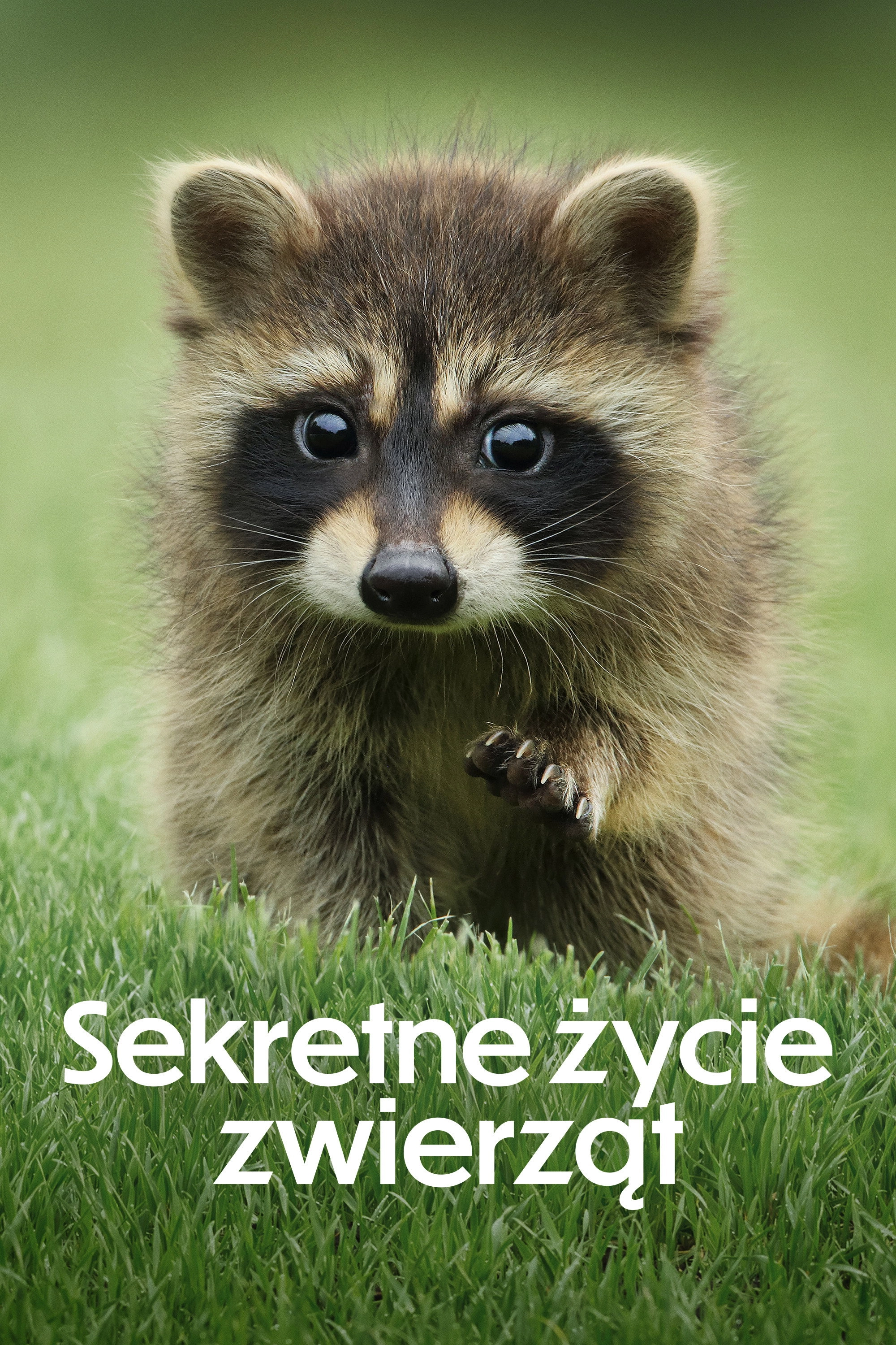 The Secret Lives of Animals