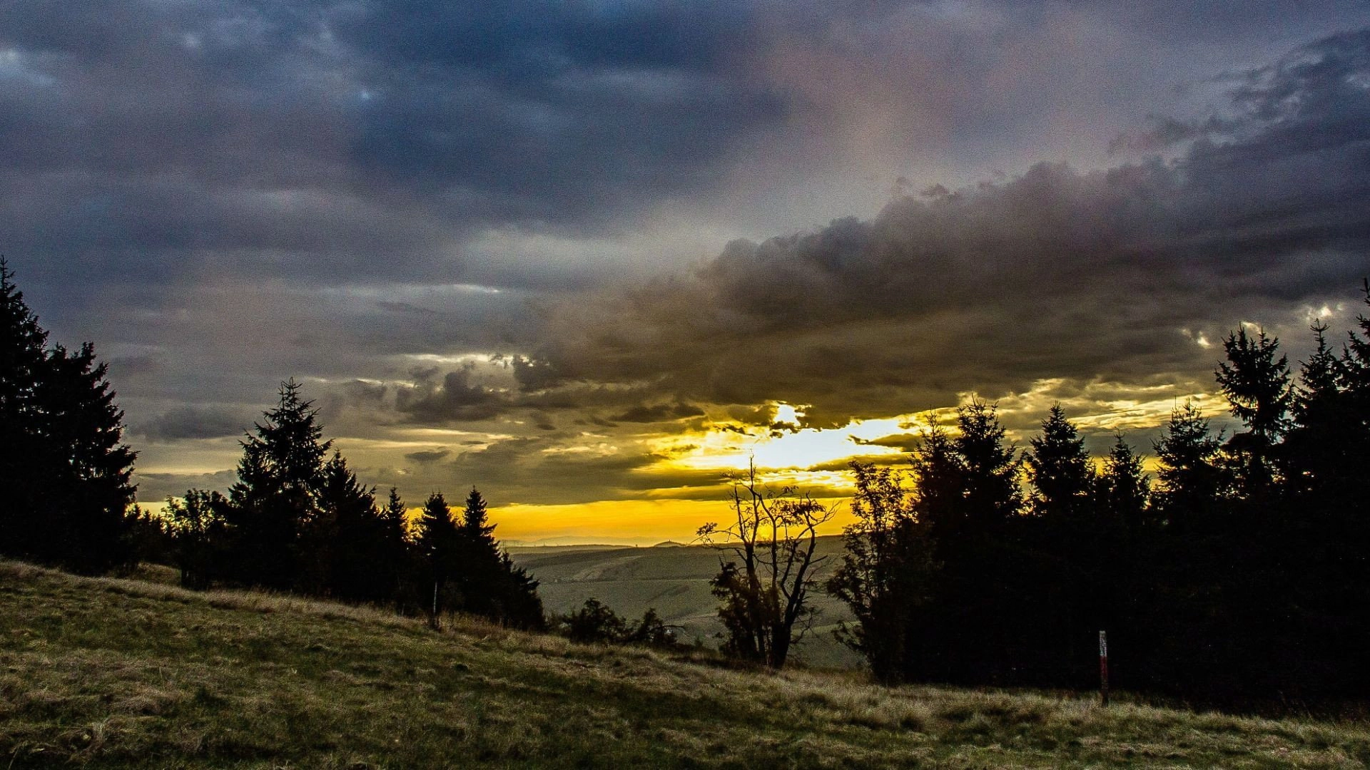Wild Germany