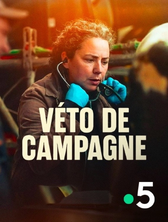 Véto de campagne