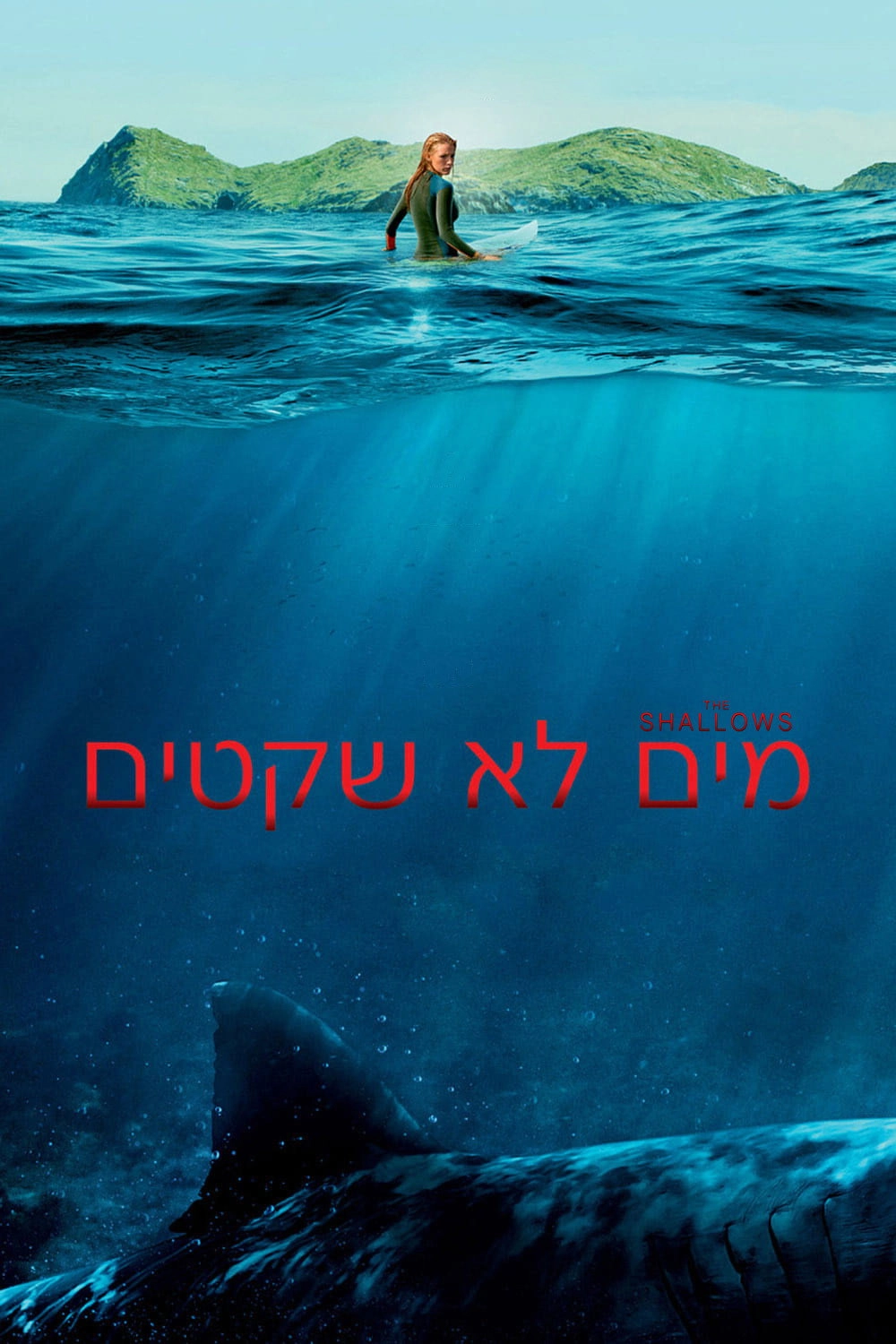 The Shallows