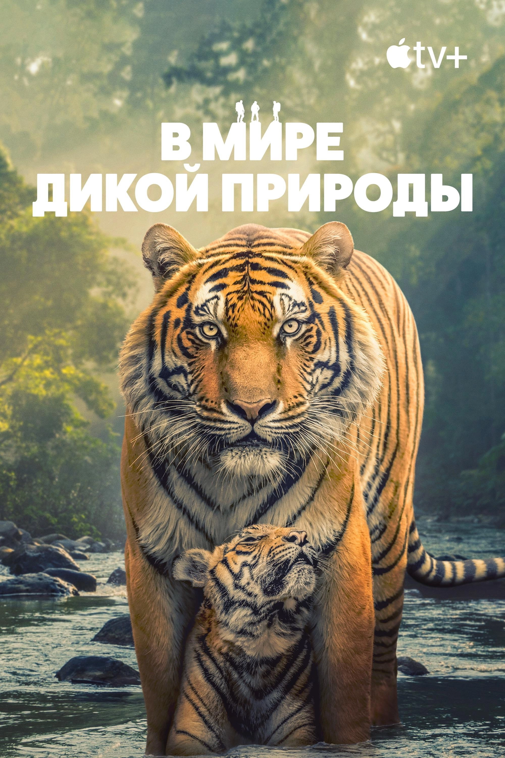 The Wild Ones