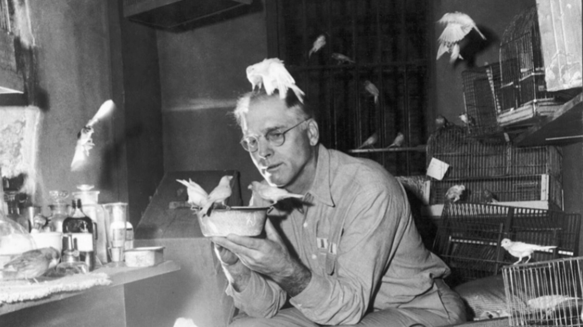 Birdman of Alcatraz