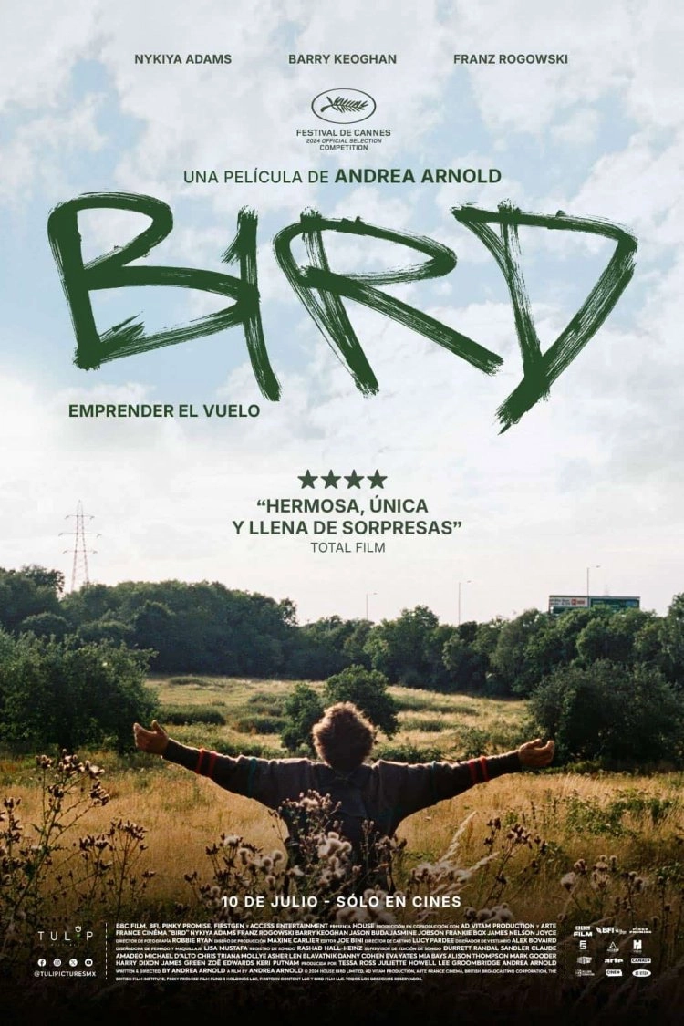 Bird