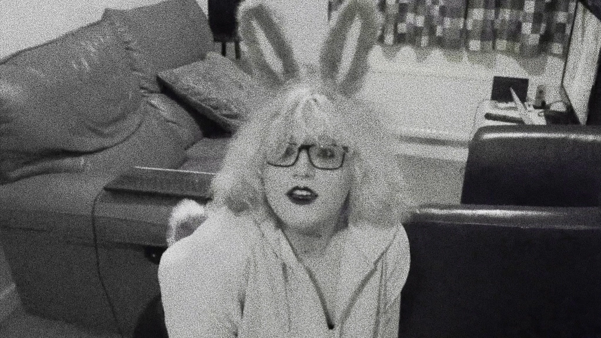 Pet Bunny