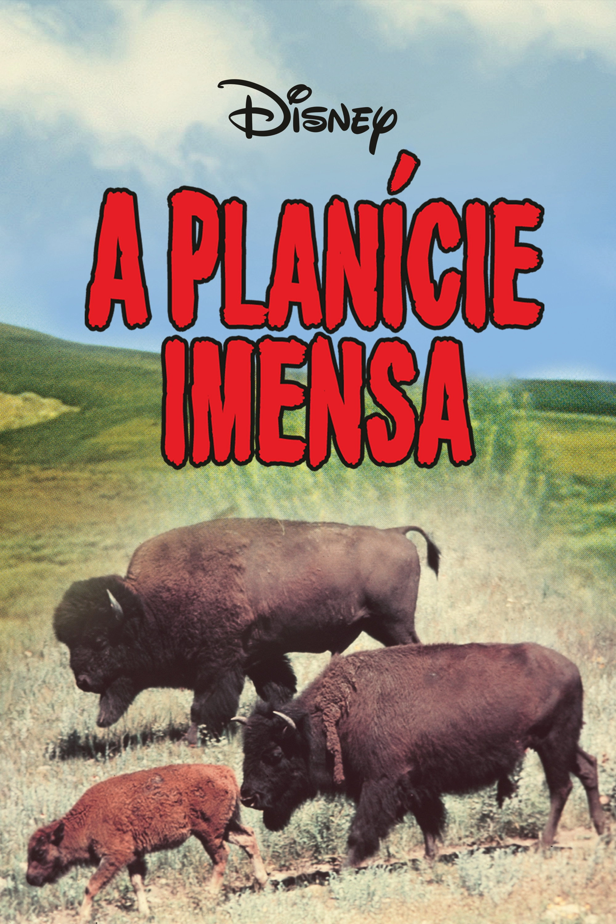 The Vanishing Prairie