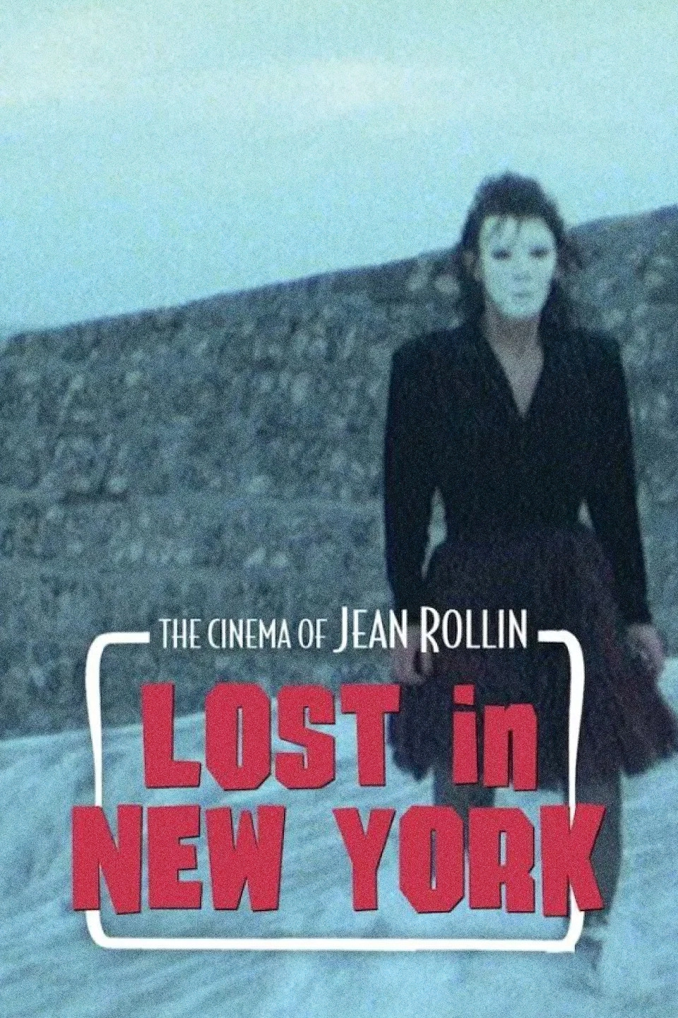Lost in New York